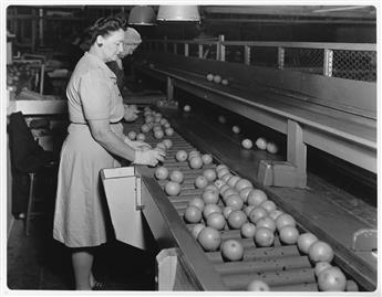 (MUTUAL ORANGE DISTRIBUTORS) Album of approximately 33 silver prints depicting the Redland, California distribution companys process.